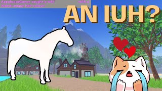 I CAUGHT AN IUH HORSE WHILST HUNTING FOR EVENTS  Wild Horse Islands [upl. by Nikolas]