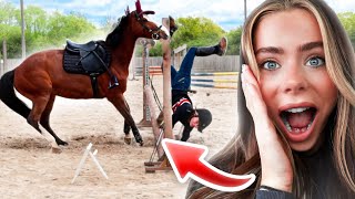 I FELL OFF OF MY NEW HORSE  VLOG😭 [upl. by Yvor206]