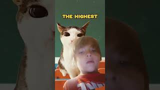 funny schoolers cat pets funnycats comedy memes jokes [upl. by Bbor]