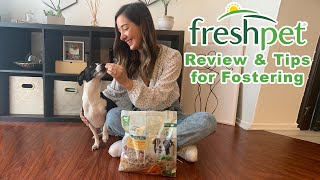 A Review of Freshpet  Tips for Fostering a Dog [upl. by Ayle284]