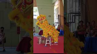 Boys Performing Lion Dance Maha Bodhi School Team A shorts liondance [upl. by Leggat568]