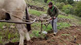 Egoitz Azkue García El Priorat [upl. by Ogren]