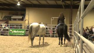 Caroline Rider  Clinic Demonstration [upl. by Sisely]