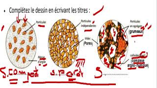 TCSF  CONTRÔLE CONTINUE 2 semestre I فرض محروس رقم 2 [upl. by Santa]