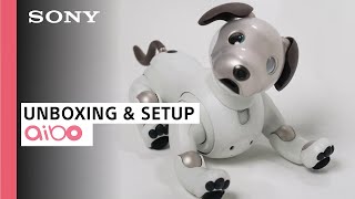 aibo ERS1000 Unboxing and Setup  Sony [upl. by Tollmann]