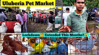 Uluberia Pet Market  Pakhir Haat 2021  Pigeon Market  Howrah bird Market [upl. by Terrijo]