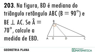 C06 PERPENDICULARIDADE 203 [upl. by Nreval]