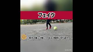 レオーネサッカースクール【フェイント】レオーネサッカースクールレオーネSSフェイント宇都宮ドリブルジュニアサッカー [upl. by Lihkin79]