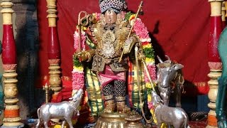 Mannargudi Rajagopalan  Sri Rajagopala  Saaveri7m 50s [upl. by Eima553]