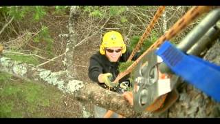 Installing a Barred Owl Nesting Box [upl. by Yur]