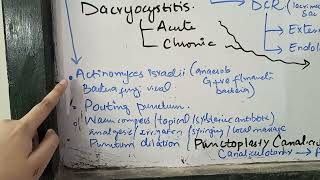 lacrimal system simplified EYE [upl. by Steffin709]