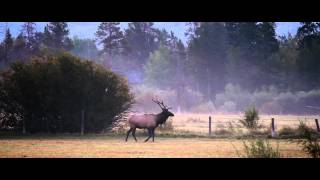 VandeWater Ranch Jackson Hole Wyoming [upl. by Annyrb]