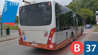 Bus Stib Voyage complet ligne 37 Albert à Gare de Linkebeek Vanhool New A330 n°9736 [upl. by Prevot914]