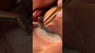 lash madness  really beautiful eyes  lash extensions 101 [upl. by Takken]