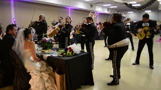 Mariachi Campanas de America  Wedding  Del Rio Texas [upl. by Neom]