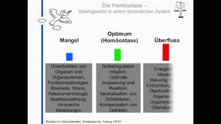 Homöostase [upl. by O'Neil]