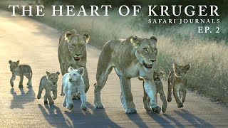 Safari Journals Kruger National Park  Maroela amp Satara [upl. by Oluas]