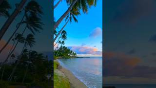 Beautiful Beach 🏖 🤗 nature viral youtubeshort shorts trending beach public see sky [upl. by Snave]