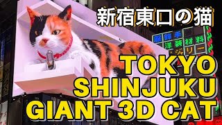 Tokyo Giant 3D Cat in Shinjuku 新宿東口の猫 Cat and the Echo Zero GravityCat’s Talk japan 日本 三毛猫 [upl. by Trueblood305]