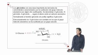 Hidratos de Carbono Identificación Cualitativa   UPV [upl. by Aeikan]