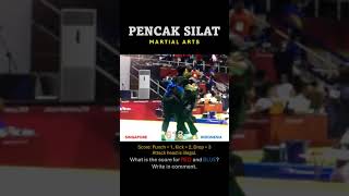 613 Pencak Silat Singapore vs Indonesia 0025960 asianmartialarts martialarts pencaksilat mma [upl. by Abrahan500]