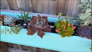 UPDATE Overgrown Succulent Planter Like New [upl. by Nedda]