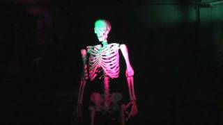 I Like Nightmares song performed by the SkullTroniX SkeleTron [upl. by Maccarone740]