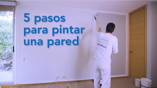 5 pasos para pintar una pared [upl. by Ninnette919]