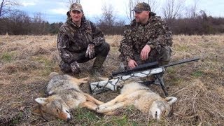 Coyote Hunting Pandemonium DownWind Outdoors [upl. by Beedon]