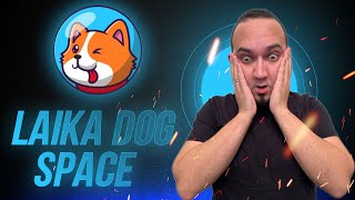 Laika Dog Space 🔥 INNOVATIVE MEMECOIN ON SOLANO 🔥 BUY NOW [upl. by Eirrac]