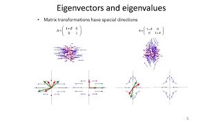 17 Principal Components Analysis  Intro to Neural Computation [upl. by Acissj]