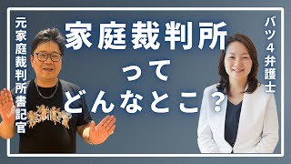 【火曜裁判所劇場】家庭裁判所ってどんなとこ？ [upl. by Kcirevam]