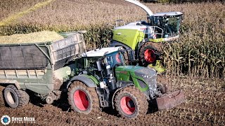 Mais häckseln auf schweren Lehmboden im Hang Claas Jaguar 990  Fendt Vario  John Deere [upl. by Teferi]