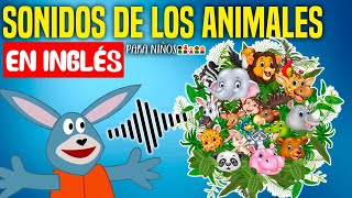 SONIDOS de los ANIMALES en INGLÉS [upl. by Canotas722]