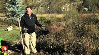 Winterizing Perennial Beds amp Pots [upl. by Joete]