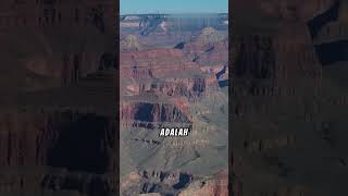 quotFakta Unik Grand Canyon Tahukah kamu faktaunik shorts shortvideo [upl. by Stanway]