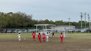 U 10 Match Div 1 Tampa Dynamo FC at West Florida Flames Gold Team Dynamo Loss 2 to 4 March 2 2024 [upl. by Latisha462]