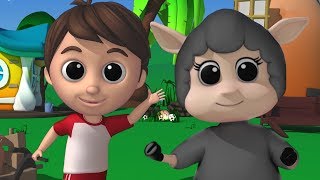 baa baa domba hitam lagu untuk anakanak sajak pembibitan Preschool Song Baa Baa Black Sheep [upl. by Rowen]