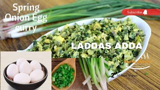 egg amp spring onion recipeviral trending new india food tiktok hyderabad recipe kcr foodie [upl. by Huang]