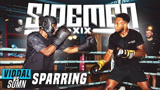 VIDDAL RILEY VS THE SIDEMEN FULL SPARRING [upl. by Nerrot]