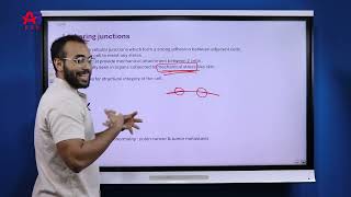 general physiology lecture four by Dr Omar Kassem cellular connections and communication [upl. by Josephine]