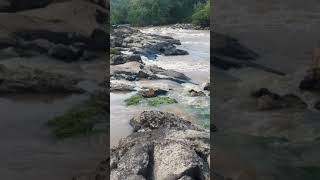 🇬🇾Guyana cuyuni river lil falls [upl. by Flosser303]