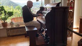 Packard  Fort Wayne Company  Organ Harmonium 1887  sound sample [upl. by Frick]