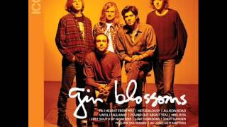 Gin Blossoms  Lost Horizons [upl. by Naihr]