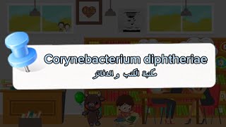 Corynebacterium diphtheriae مكتبة الكتب و الدفاتر 📒AlbaMicro 🤍🧪 [upl. by Sevik]