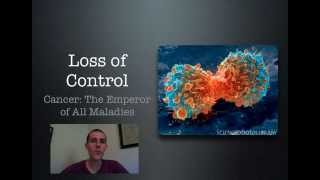 Cell Cycle Control [upl. by Heinrick]