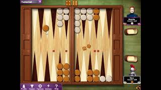 Hoyle® Puzzle amp Board Games  Backgammon  02 [upl. by Anitselec]