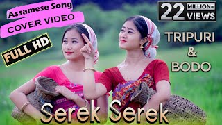 Assamese Dance Cover  Tripuri amp Bodo  Performance byHana amp Manorama FHD 2020 [upl. by Ciapas]