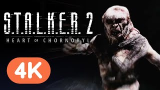 STALKER 2 Heart of Chornobyl  Official Trailer  Xbox Showcase 2024 [upl. by Ailbert]