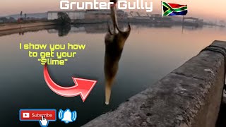 OFFROAD4LIFE Fishing Grunter Gully Durban South Africa [upl. by Trinetta]